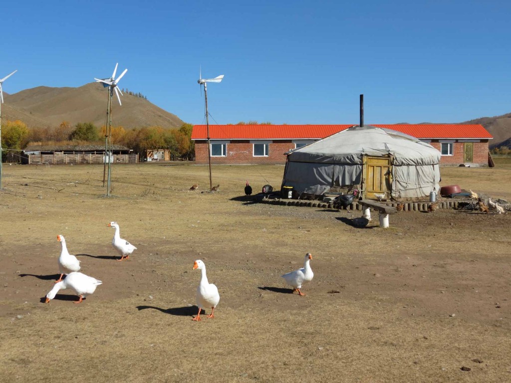 Mongolia Help Landhaus